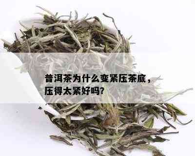 普洱茶为什么变紧压茶底，压得太紧好吗？