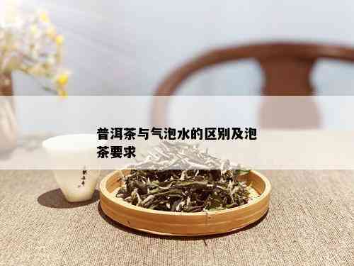 普洱茶与气泡水的区别及泡茶要求