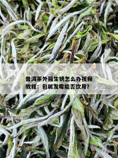 普洱茶外箱生锈怎么办视频教程：包装发霉能否饮用？