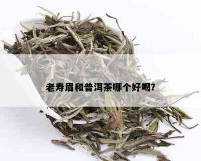 老寿眉和普洱茶哪个好喝？