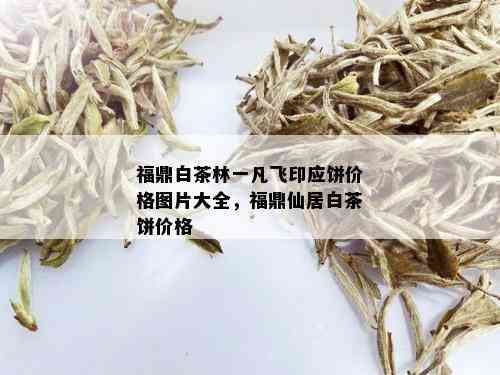 福鼎白茶林一凡飞印应饼价格图片大全，福鼎仙居白茶饼价格