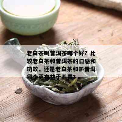 老白茶喝普洱茶哪个好？比较老白茶和普洱茶的口感和功效，还是老白茶和熟普洱哪个更有益于养胃？