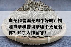 白茶和普洱茶哪个好喝？福鼎白茶和普洱茶哪个更适合你？知乎大神解答！