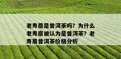 老寿眉是普洱茶吗？为什么老寿眉被认为是普洱茶？老寿眉普洱茶价格分析