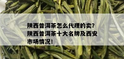 陕西普洱茶怎么代理的卖？陕西普洱茶十大名牌及西安市场情况！