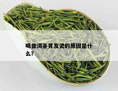 喝普洱茶胃发烫的原因是什么？