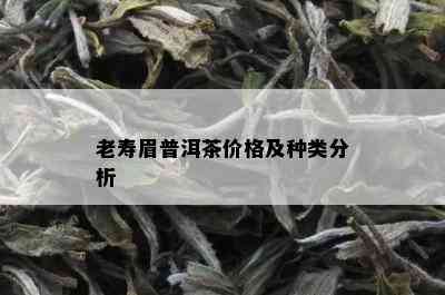 老寿眉普洱茶价格及种类分析