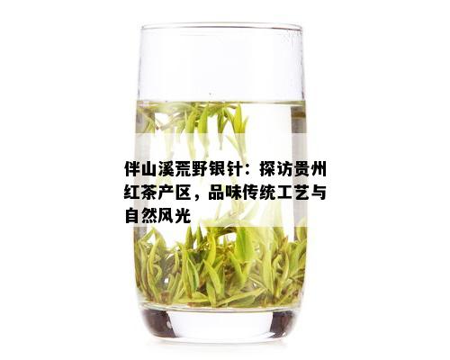 伴山溪荒野银针：探访贵州红茶产区，品味传统工艺与自然风光