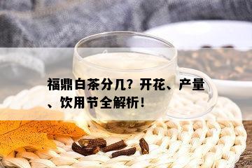 福鼎白茶分几？开花、产量、饮用节全解析！