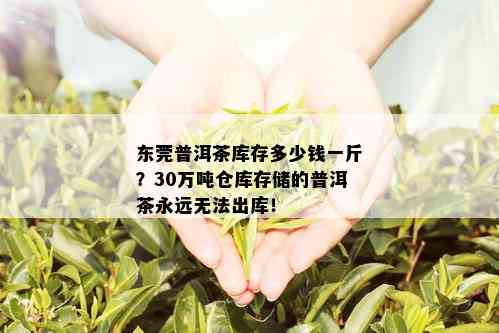 东莞普洱茶库存多少钱一斤？30万吨仓库存储的普洱茶永远无法出库！