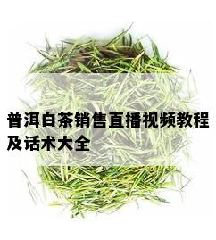 普洱白茶销售直播视频教程及话术大全