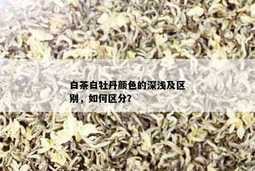 白茶白牡丹颜色的深浅及区别，如何区分？