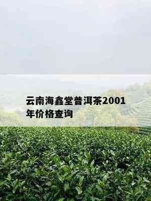 云南海鑫堂普洱茶2001年价格查询