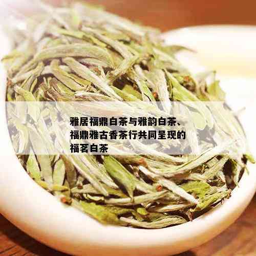 雅居福鼎白茶与雅韵白茶、福鼎雅古香茶行共同呈现的福茗白茶