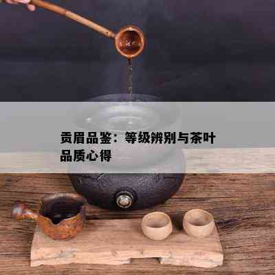 贡眉品鉴：等级辨别与茶叶品质心得