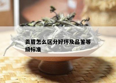 贡眉怎么区分好坏及品鉴等级标准