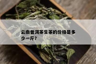 云南普洱茶生茶的价格是多少一斤？