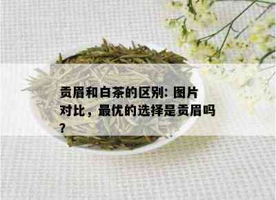 贡眉和白茶的区别: 图片对比，更优的选择是贡眉吗？