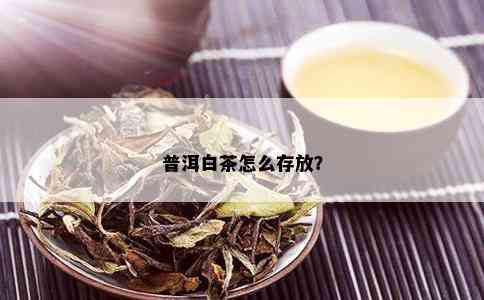 普洱白茶怎么存放？