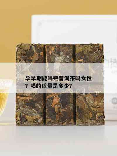 孕早期能喝熟普洱茶吗女性？喝的适量是多少？