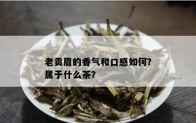 老贡眉的香气和口感如何？属于什么茶？