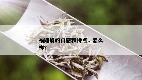 福鼎眉的口感和特点，怎么样？