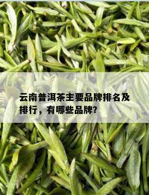 云南普洱茶主要品牌排名及排行，有哪些品牌？