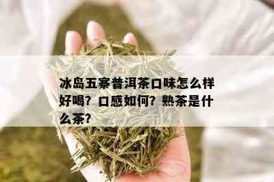 冰岛五寨普洱茶口味怎么样好喝？口感如何？熟茶是什么茶？