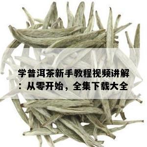 学普洱茶新手教程视频讲解：从零开始，全集下载大全