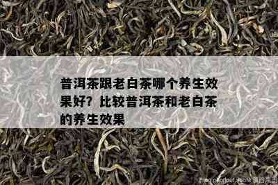 普洱茶跟老白茶哪个养生效果好？比较普洱茶和老白茶的养生效果