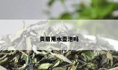 贡眉用水壶泡吗