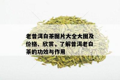 老普洱白茶图片大全大图及价格、欣赏，了解普洱老白茶的功效与作用