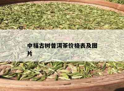 中福古树普洱茶价格表及图片