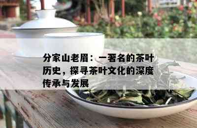 分家山老眉：一著名的茶叶历史，探寻茶叶文化的深度传承与发展