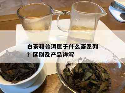 白茶和普洱属于什么茶系列？区别及产品详解