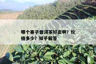 哪个寨子普洱茶好卖啊？价格多少？知乎解答