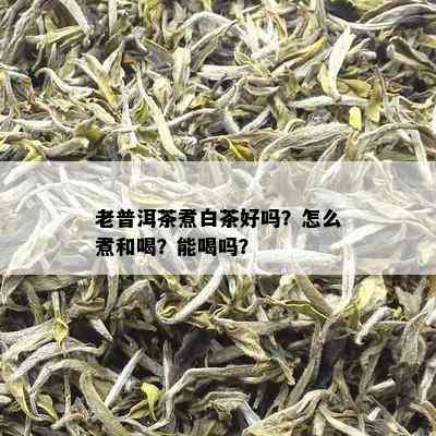 老普洱茶煮白茶好吗？怎么煮和喝？能喝吗？