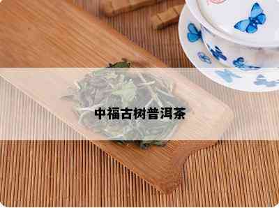 中福古树普洱茶