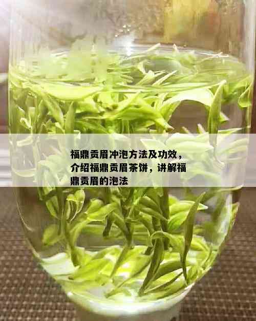 福鼎贡眉冲泡方法及功效，介绍福鼎贡眉茶饼，讲解福鼎贡眉的泡法