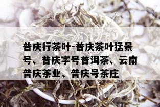 普庆行茶叶-普庆茶叶猛景号、普庆字号普洱茶、云南普庆茶业、普庆号茶庄