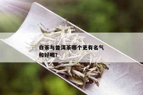 白茶与普洱茶哪个更有名气和好喝？