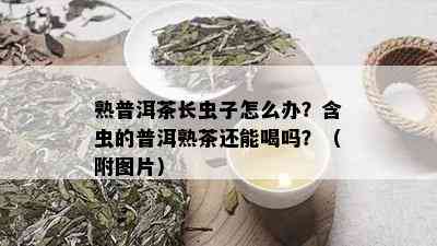 熟普洱茶长虫子怎么办？含虫的普洱熟茶还能喝吗？（附图片）