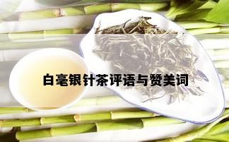 白毫银针茶评语与赞美词