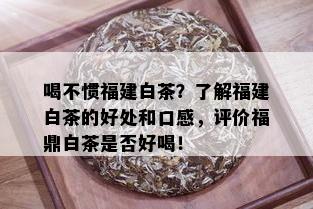 喝不惯福建白茶？了解福建白茶的好处和口感，评价福鼎白茶是否好喝！