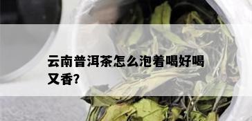 云南普洱茶怎么泡着喝好喝又香？