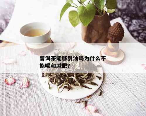 普洱茶能够刮油吗为什么不能喝和减肥？