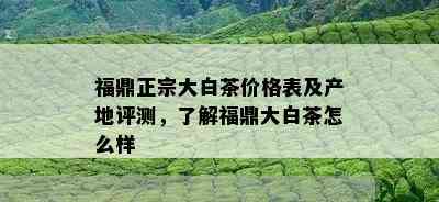 福鼎正宗大白茶价格表及产地评测，了解福鼎大白茶怎么样