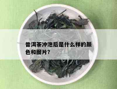 普洱茶冲泡后是什么样的颜色和图片？