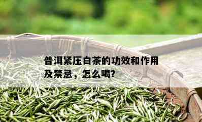 普洱紧压白茶的功效和作用及禁忌，怎么喝？