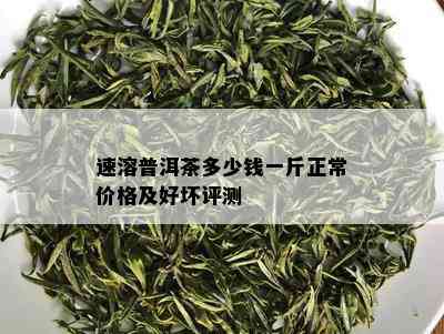 速溶普洱茶多少钱一斤正常价格及好坏评测